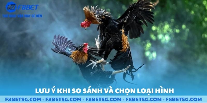 Lưu ý so sánh và chọn loại hình đá gà