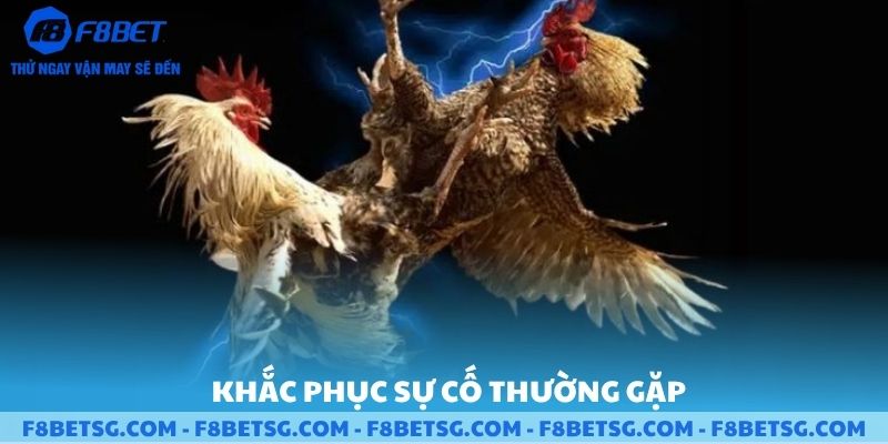Khắc phục sự cố thường gặp