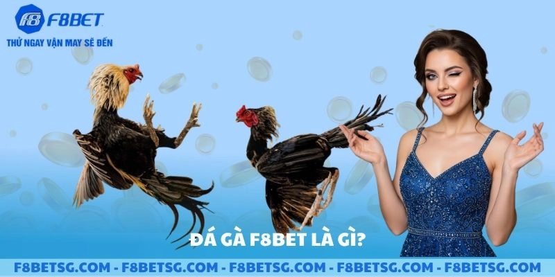 Đá gà F8BET là gì