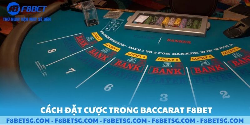 Cách đặt cược trong baccarat trong F8BET