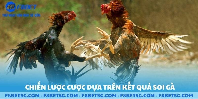 Chiến lược dựa trên các kết quả soi gà
