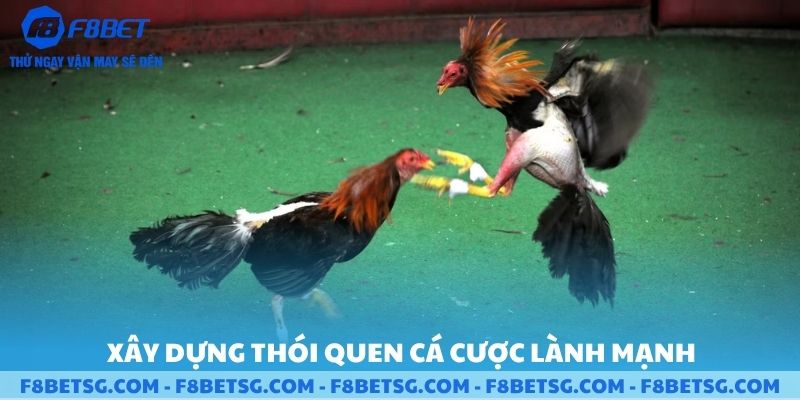 Xậy dựng thói quen cá cược lành mạnh cho bản thân